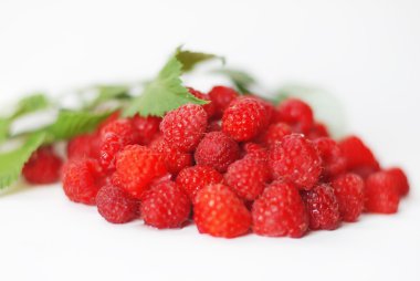 Beyaz arka planda yapraklı ahududu