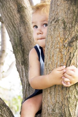 ağaç üzerinde küçük çocuk