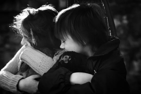 Little boy and girl holding chicken in hands — Stock Photo, Image