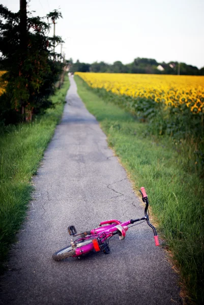 Una imagen de una bicicleta en la carretera —  Fotos de Stock