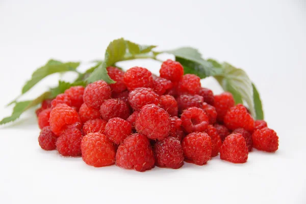 Framboises avec des feuilles isolées sur fond blanc — Photo