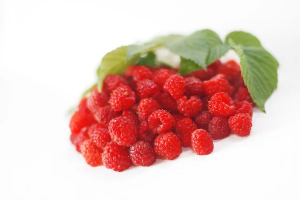 Framboises avec des feuilles isolées sur fond blanc — Photo