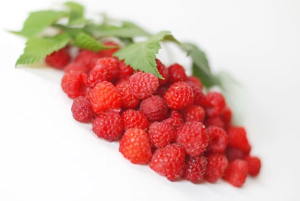 Framboises avec des feuilles isolées sur fond blanc — Photo