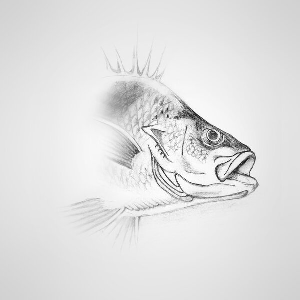 Старый бумажный фон