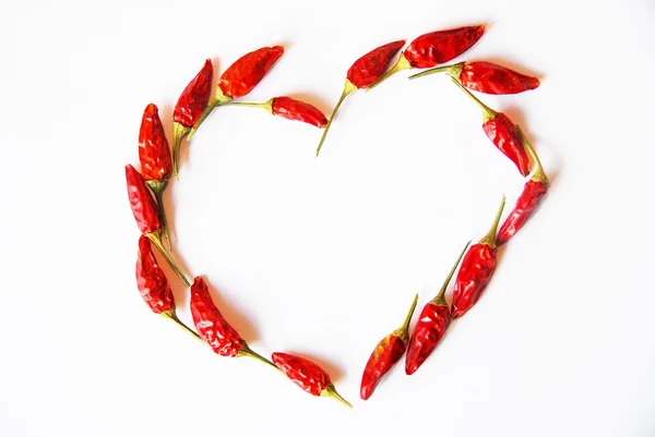 Dried pepper on the white background — Stock Photo, Image