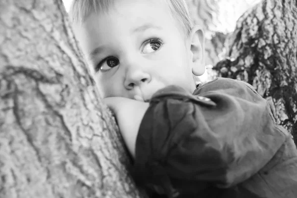 Little boy on tree — Stock Photo, Image