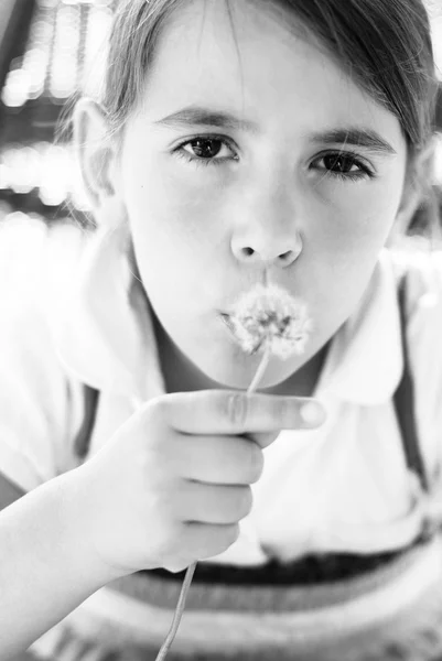 Beautiful little girl blowing dandelion — Stock Photo, Image