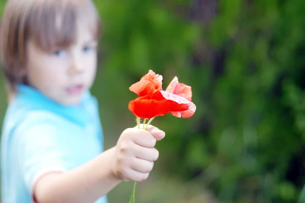 Liten pojke med blommor — Stockfoto