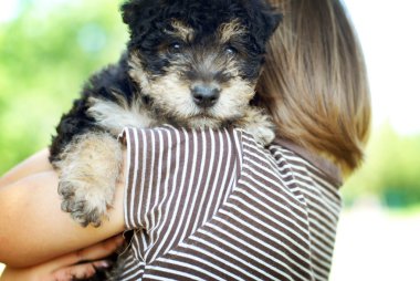 köpek yavrusu olan küçük çocuk