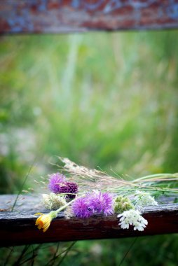 Güzel bir buket yabani çiçek.