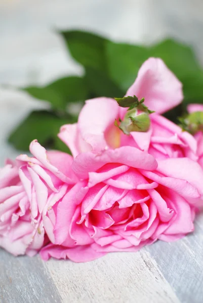 Rose su vecchio sfondo di legno — Foto Stock