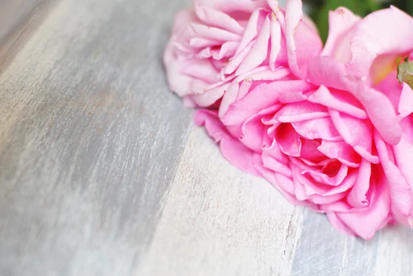 Roses on old wooden background — Stock Photo, Image