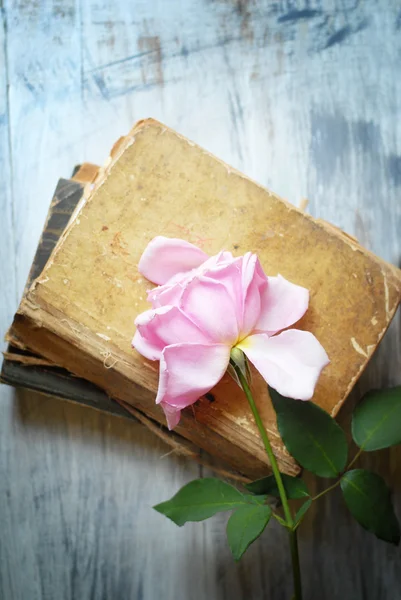 Rose on old blue wooden table with old books — Stock Photo, Image