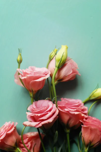 Flowers on wooden background — Stock Photo, Image