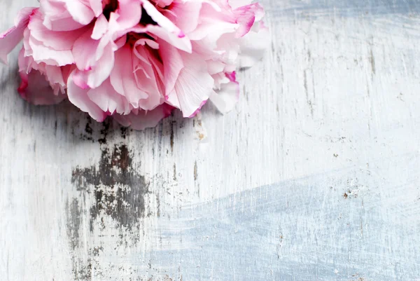 Flowers on wooden background — Stock Photo, Image