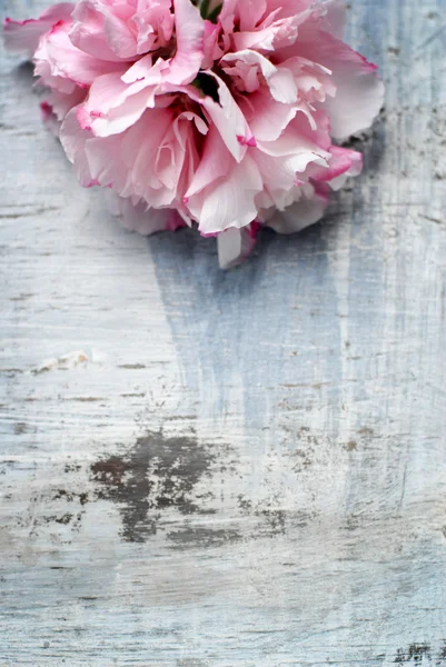 Bloemen op houten achtergrond — Stockfoto