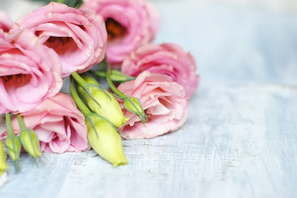 Květiny na dřevěném pozadí — Stock fotografie