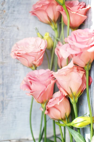 Flowers on wooden background — Stock Photo, Image