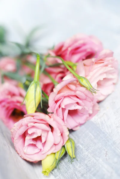 Flowers on wooden background — Stock Photo, Image