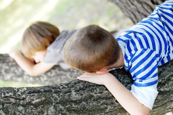 Boys sitting on the tree — Stock Photo, Image