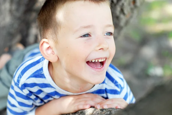 Petit garçon assis sur l'arbre — Photo