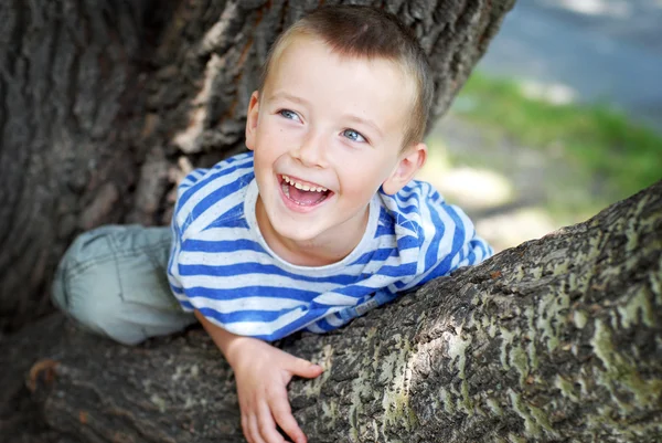 Petit garçon assis sur l'arbre — Photo