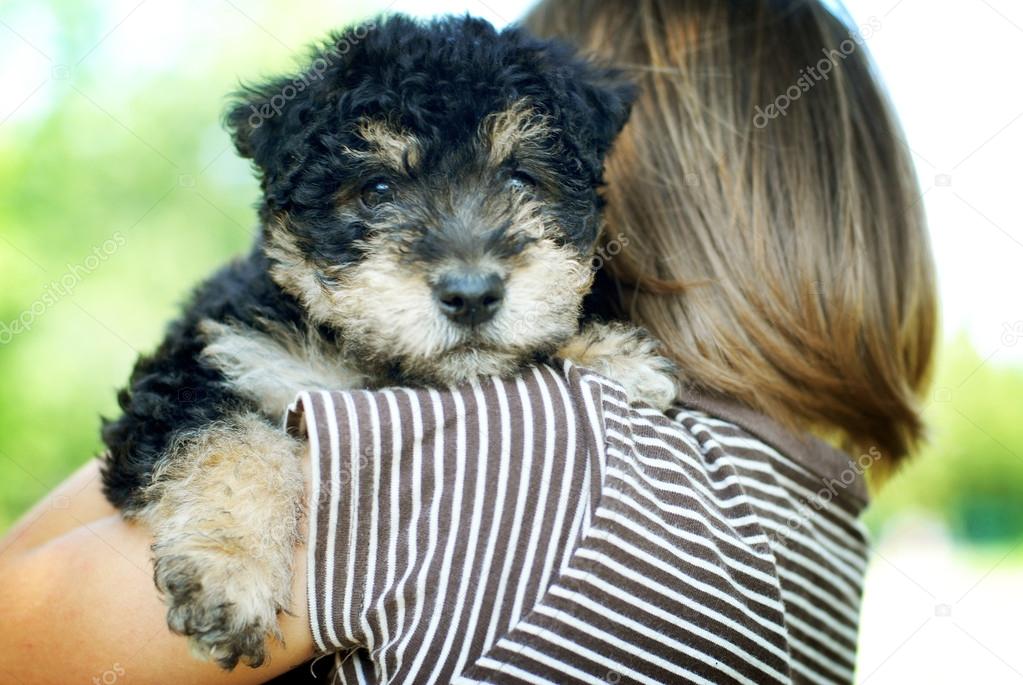 Little boy with puppy