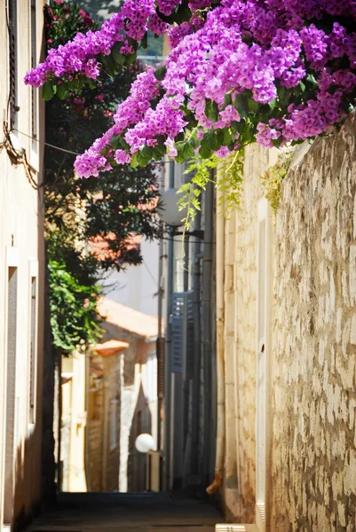 Güzel eski şehir Provence — Stok fotoğraf