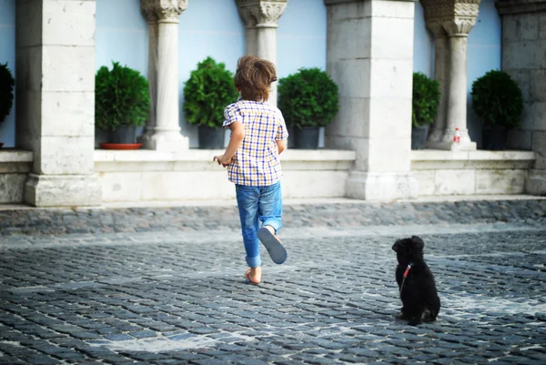 市内の犬と遊んで小さな男の子 — ストック写真