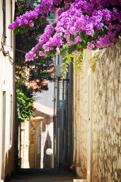 Gyönyörű régi város Provence Stock Kép