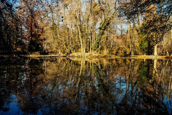 Étang en automne, feuilles jaunes, reflets Photos De Stock Libres De Droits