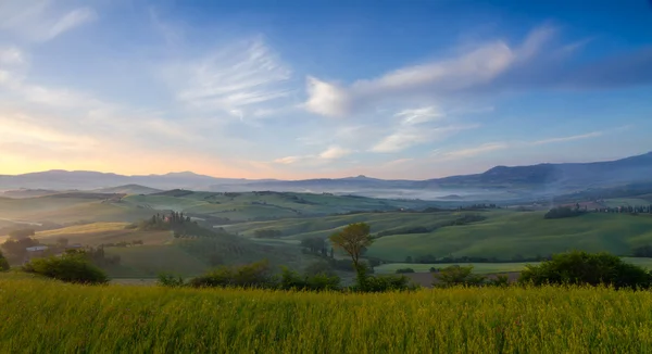 Niebla matutina en Val d 'Orcia cerca de San Quirico, Toscana, Italia —  Fotos de Stock