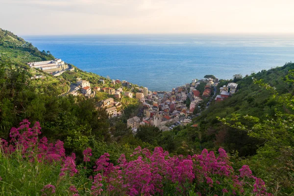 Manarola tal blick, cinque terre, italien — Stockfoto