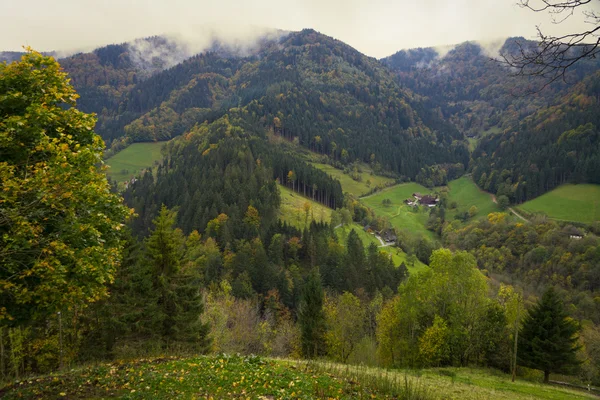 Vista del valle en la Selva Negra (Simonswjalá lder Tal) en otoño, Alemania —  Fotos de Stock