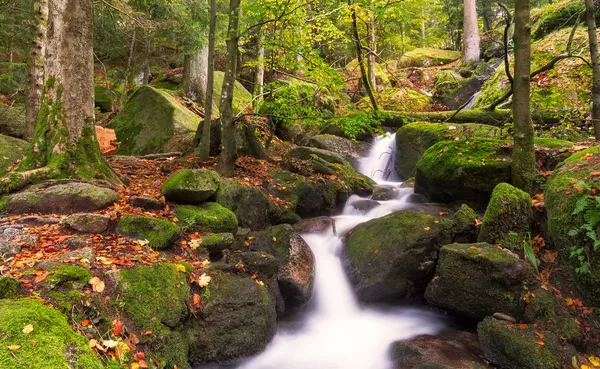 Gertelsbacher şelaleler sonbahar, Kara Orman, Almanya — Stok fotoğraf