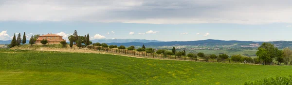 Тосканская ферма с кипарисом под Сиеной, Италия — стоковое фото