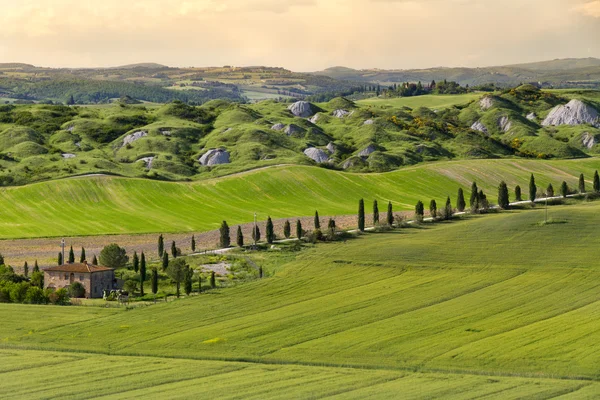 Quinta e beco perto de Siena, Creta Senesi, Toscana, Itália — Fotografia de Stock