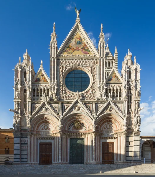 Siena Katedrali, Toskana, İtalya — Stok fotoğraf