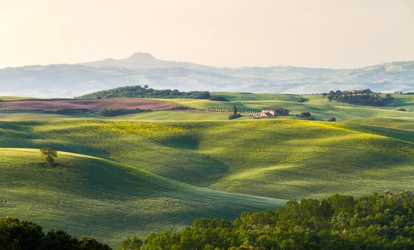 Paisagem toscana com fazenda, Val d 'Orcia, Itália — Fotografia de Stock