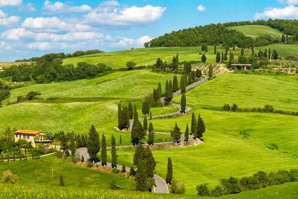 Toskana straße mit zypressen, val d 'orcia, italien — Stockfoto