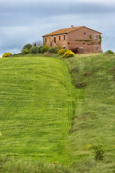 Toskánsko usedlost s polí a květiny, val d'orcia, Itálie — Stock fotografie
