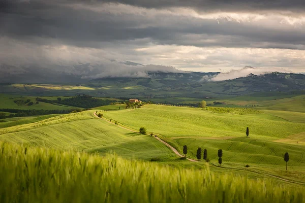 Tuscany landscape with farm near Pienza, Italy — Stock Photo, Image