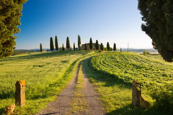 Casa rural con ciprés y cielos azules, Pienza, Toscana, Italia —  Fotos de Stock