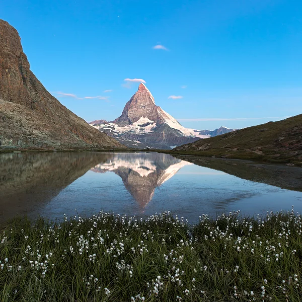 Matterhorn reflecton in Riffelsee with flowers, Zermatt, Alps, Switzerland — Stock Photo, Image