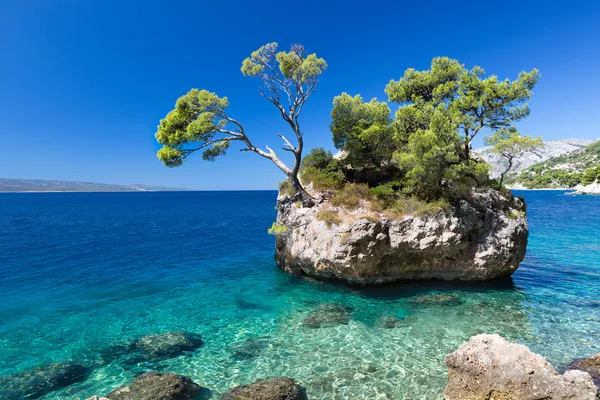 Hırvat kumsalda bir güneşli gün, brela, Hırvatistan — Stockfoto