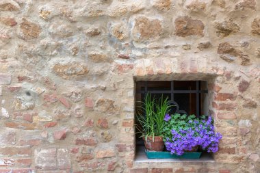 eski Toskana bina çiçekler, pienza, İtalya