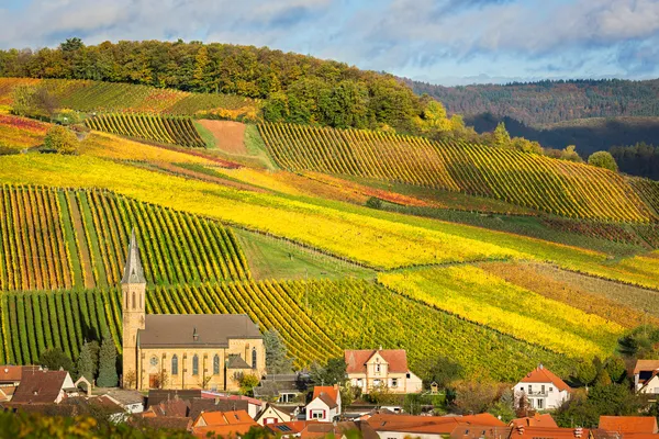 Wijngaarden met herfst kleuren, pfalz, Duitsland — Stockfoto