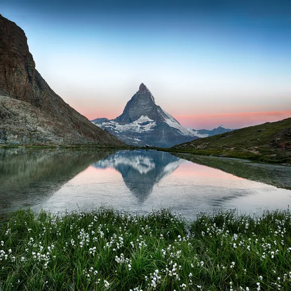 Matterhorn reflektion i riffelsee med blommor, zermatt, Alperna, Schweiz — Stockfoto