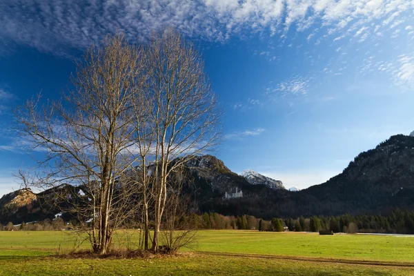 Bayerska Alperna med slottet neuschwanstein, Tyskland — Stockfoto