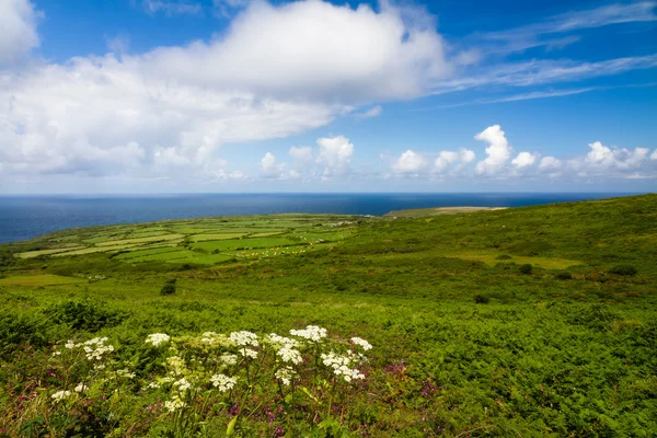 Costa della Cornovaglia tra Lands End e St. Ives, Cornovaglia, Inghilterra — Foto Stock